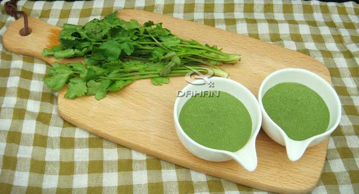 脫水蔬菜粉 脫水蔬菜粉