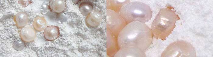 珍珠粉 珍珠粉